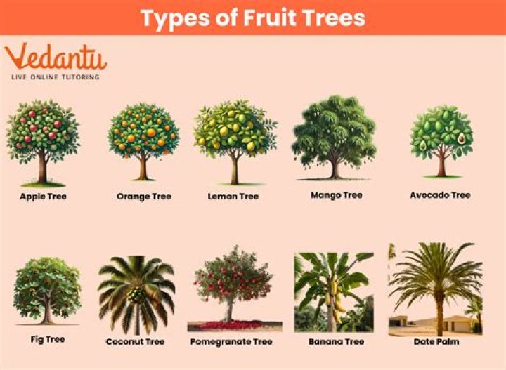 What fruit trees can be propagated by cuttings