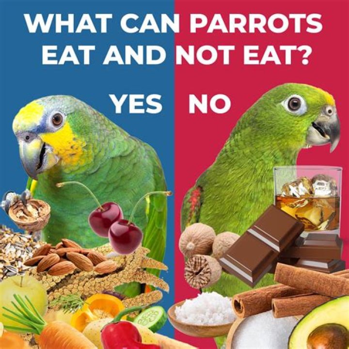 What fruits and veggies can quaker parrots eat