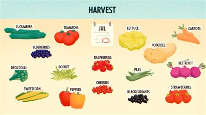 What fruits are harvested in September