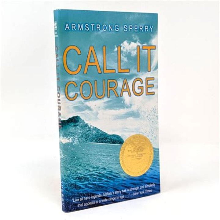 What genre is the book call it courage