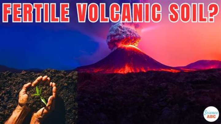 What grows best in volcanic soil