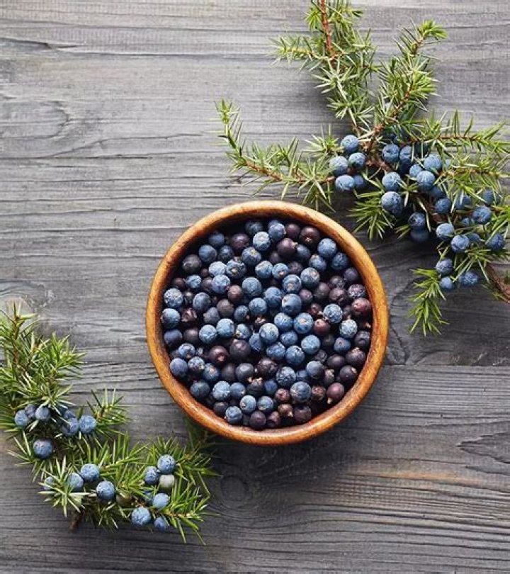 What grows juniper berries