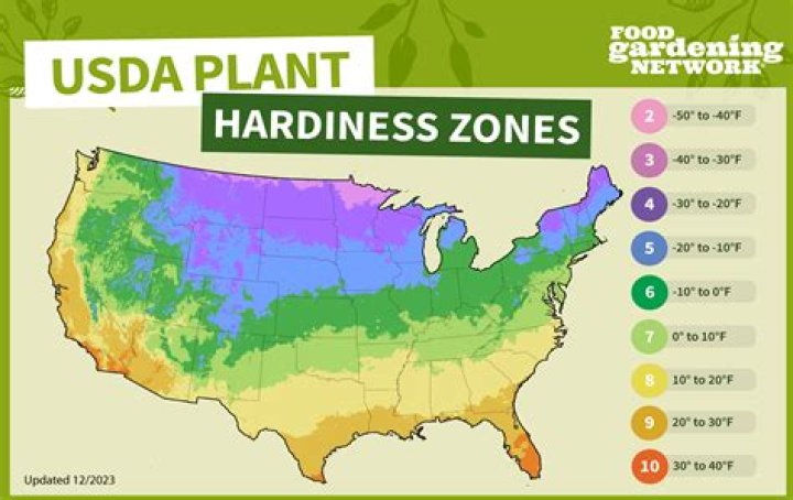 What grows well in Tennessee