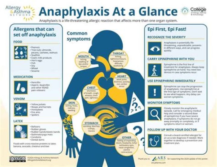 What happens during anaphylactic shock