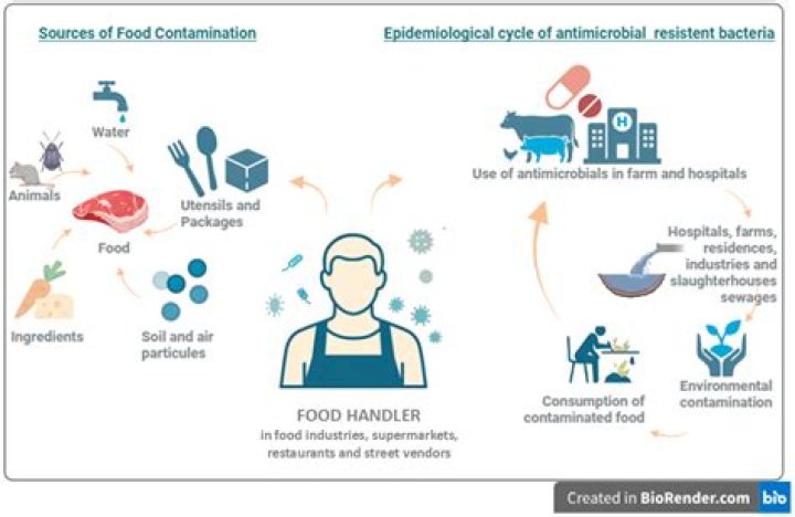 What happens if you cross contaminate