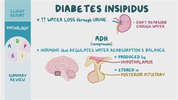 What hormones does diabetes cause