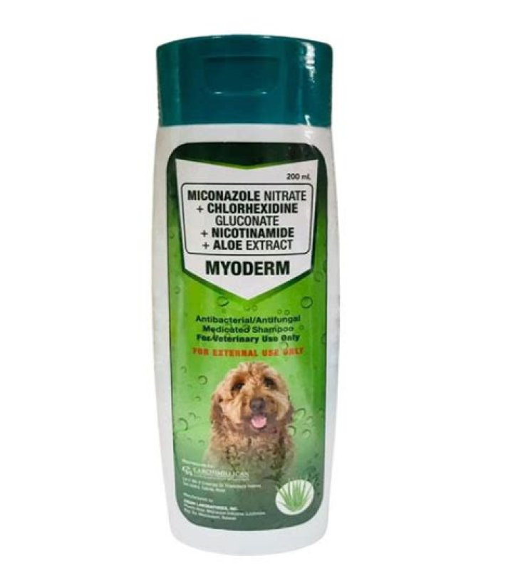 What human conditioner can I use on my dog