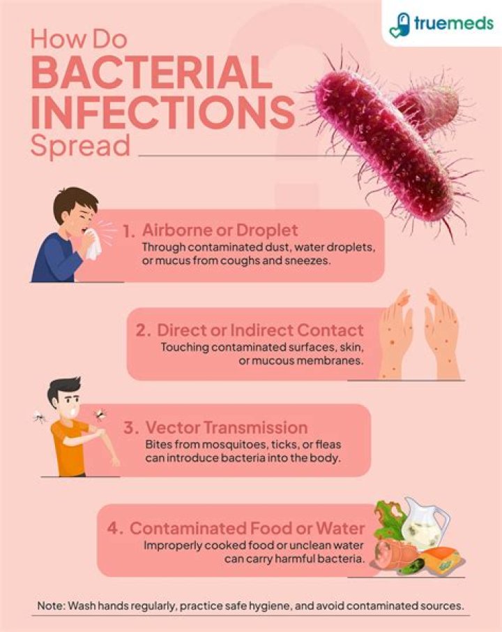 What infections does chloramphenicol treat