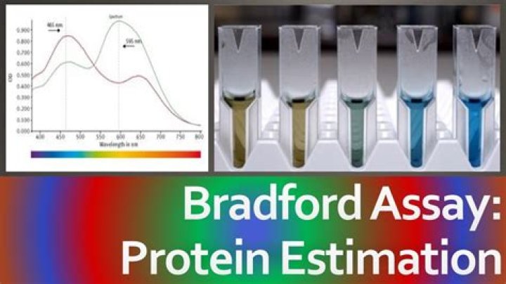 What interferes with Bradford assay