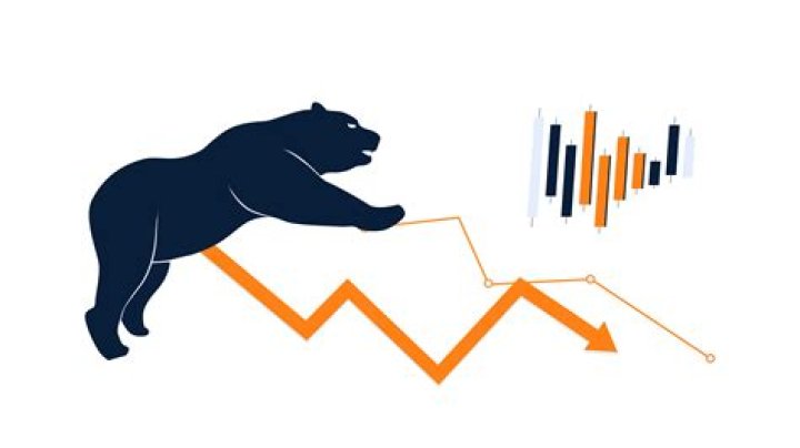 What is a bear market in the stock market