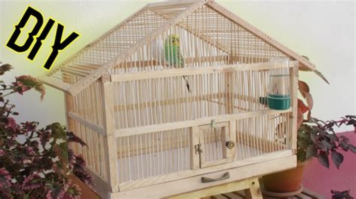 What is a bird cage made out of