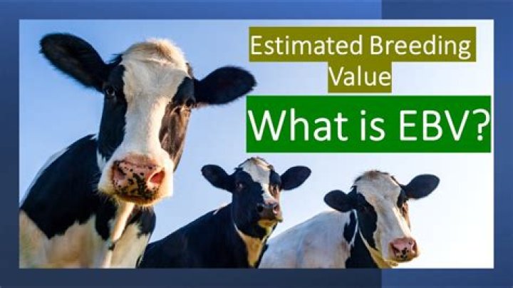 What is a breeding value