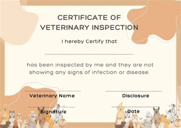 What is a certificate of veterinary inspection
