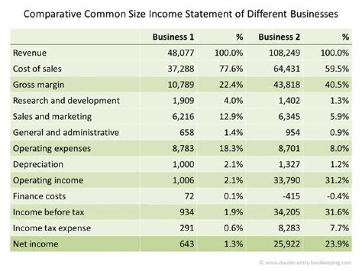 What is a common size income statement