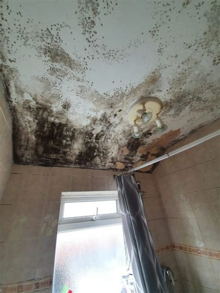 What is a damp check