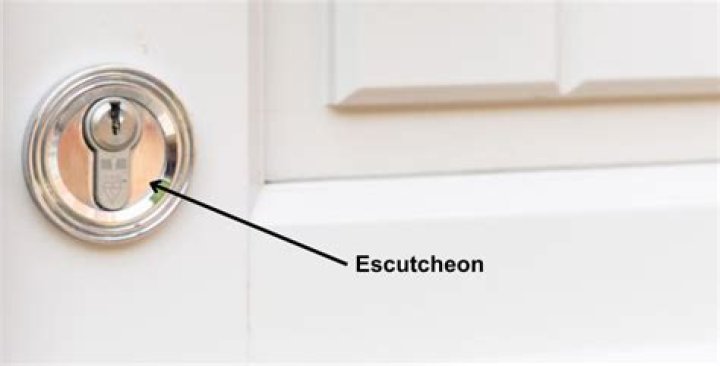 What is a escutcheon ring