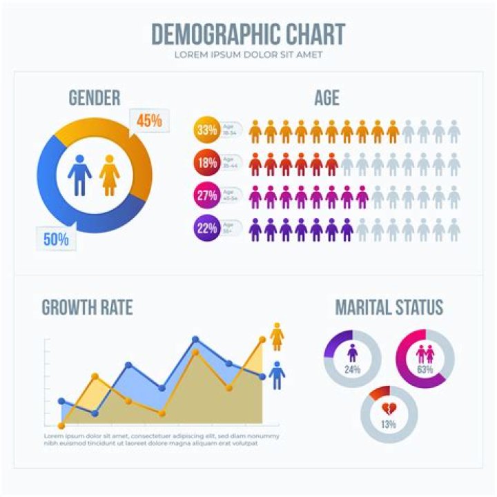 What is a family demographic