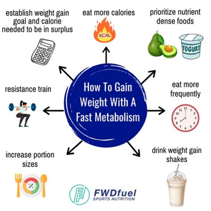 What is a fast metabolism rate