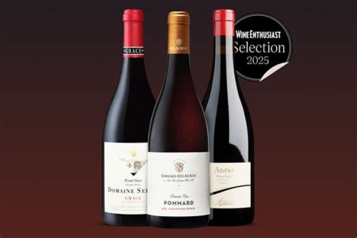 What is a good shiraz wine