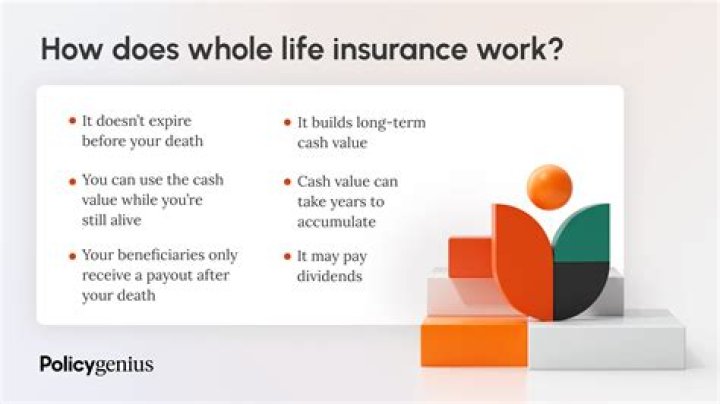 What is a life value