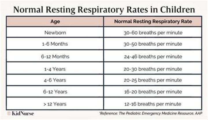 What is a normal respiratory rate for a 2 year old