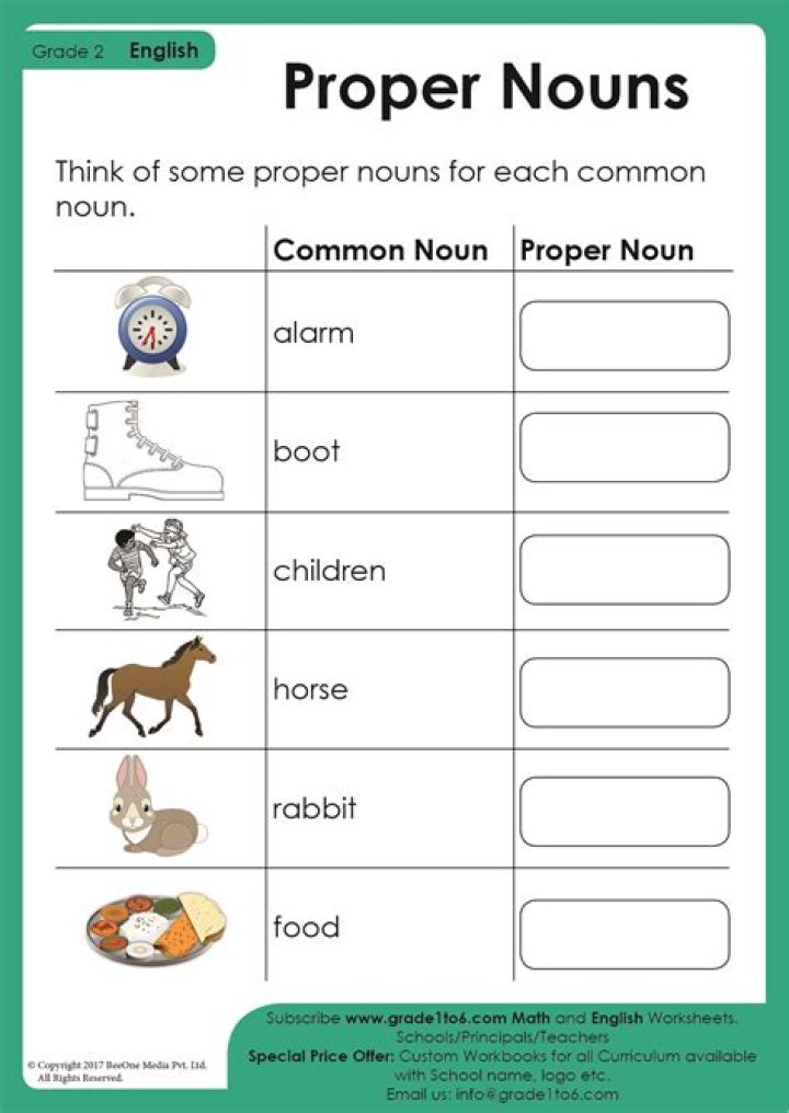 What is a noun class system