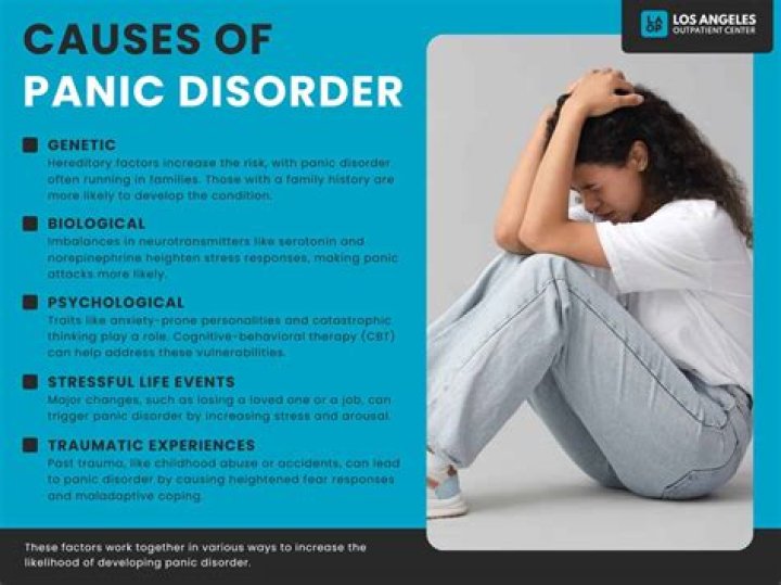 What is a panic disorder