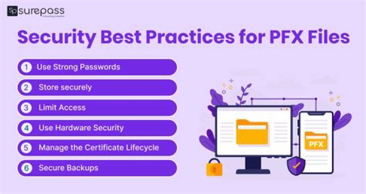 What is a PFX password