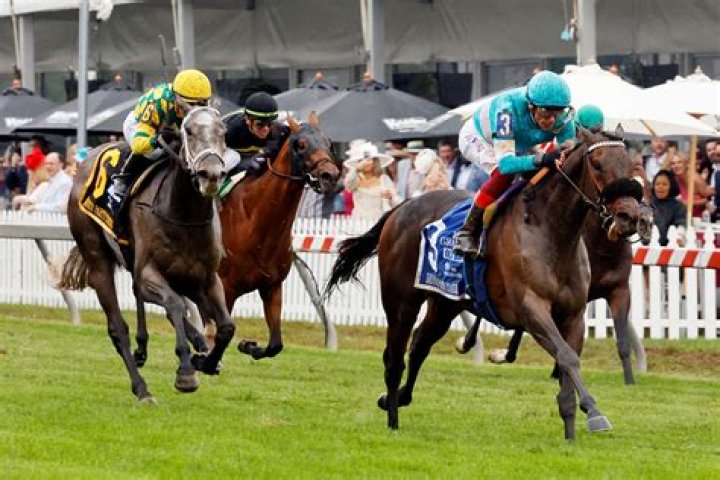 What is a Preakness Party