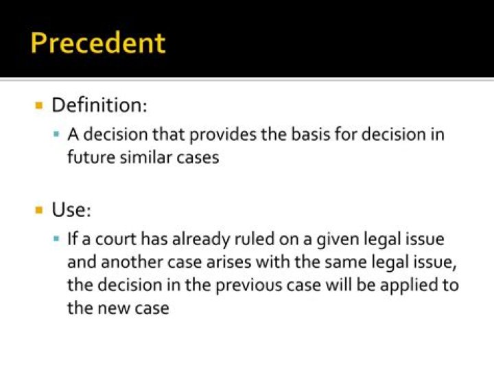 What is a precedent in government