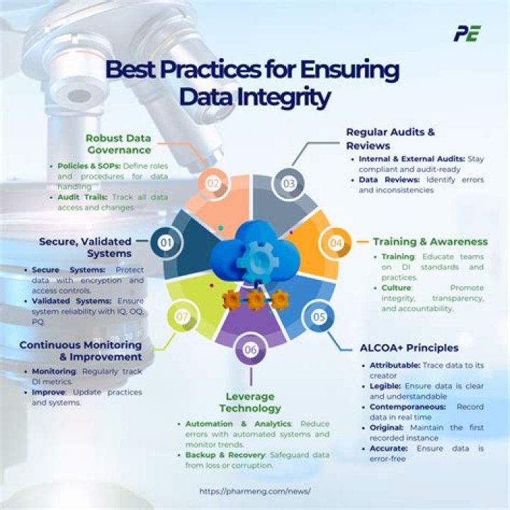 What is a program integrity investigator