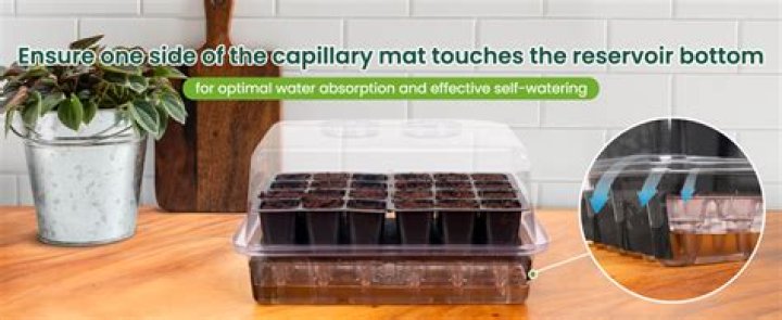 What is a self watering window box