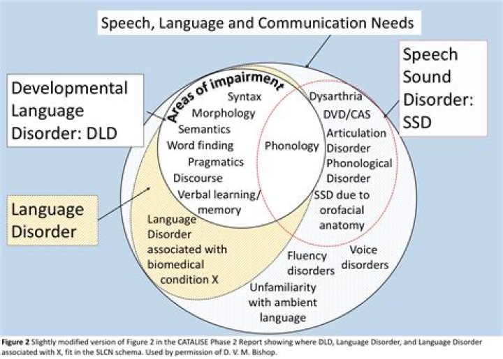 What is a specific language impairment