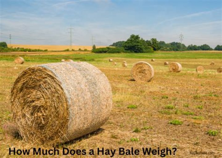 What is a square bale of hay