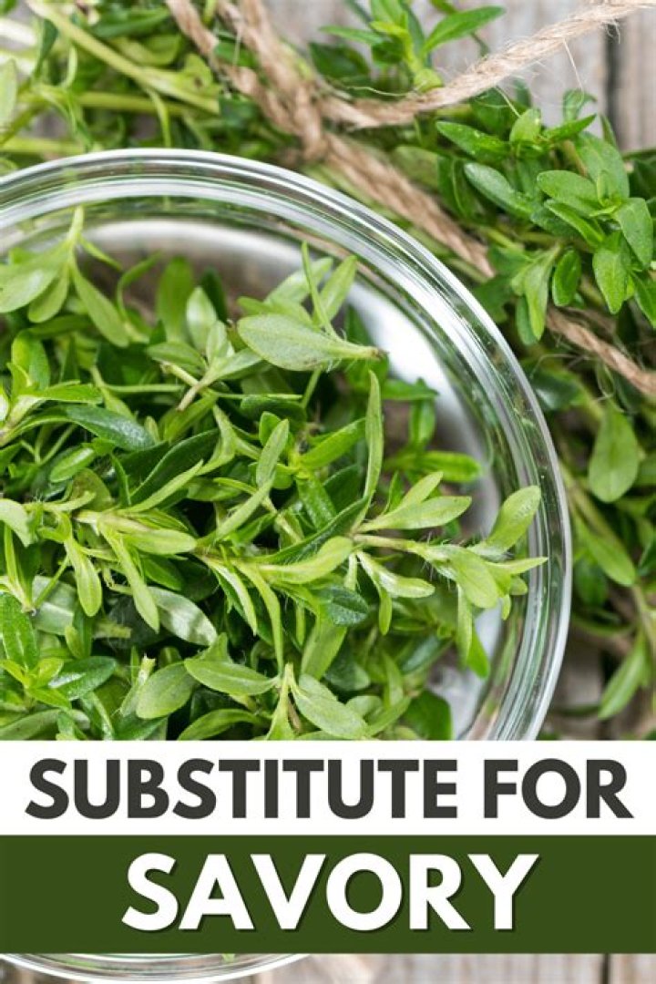 What is a substitute for savory spice