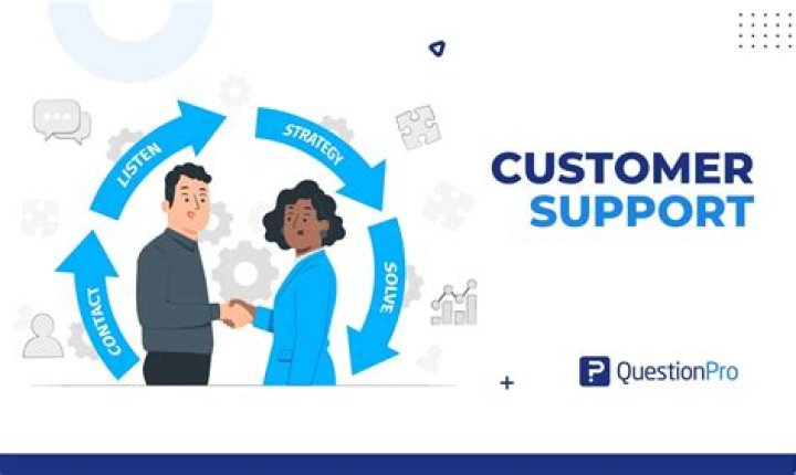 What is a support in art