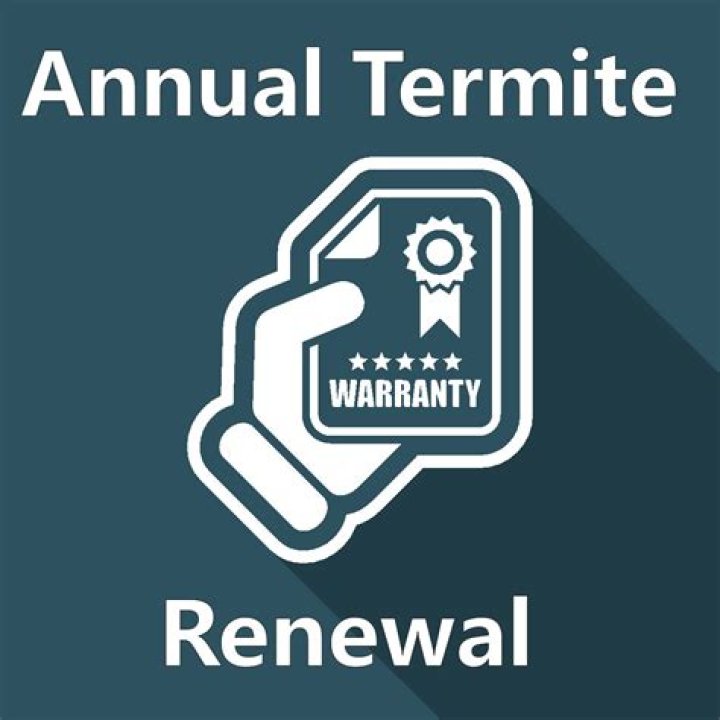 What is a termite renewal