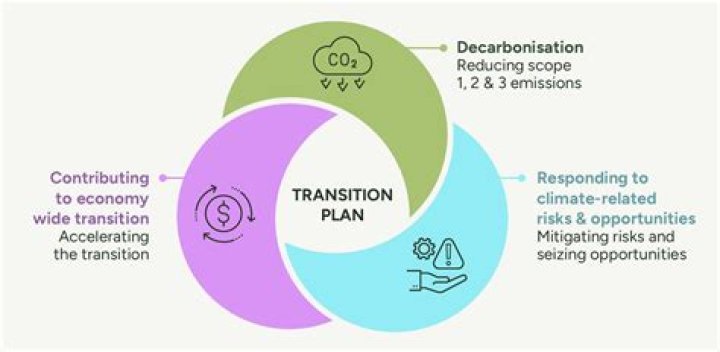 What is a transition in childcare