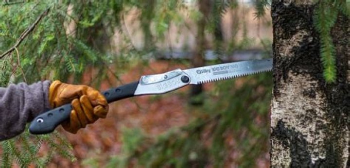 What is a tree saw
