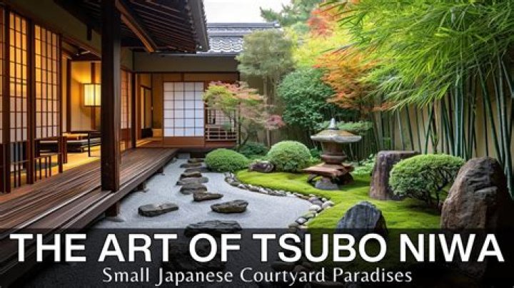 What is a tsubo in Shiatsu
