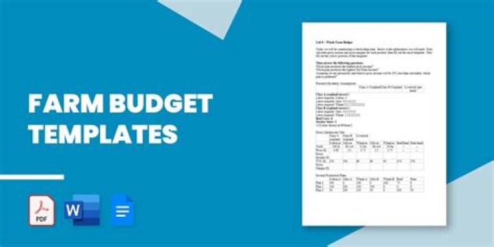 What is a whole farm budget