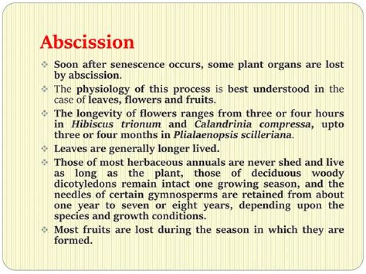 What is abscission and senescence