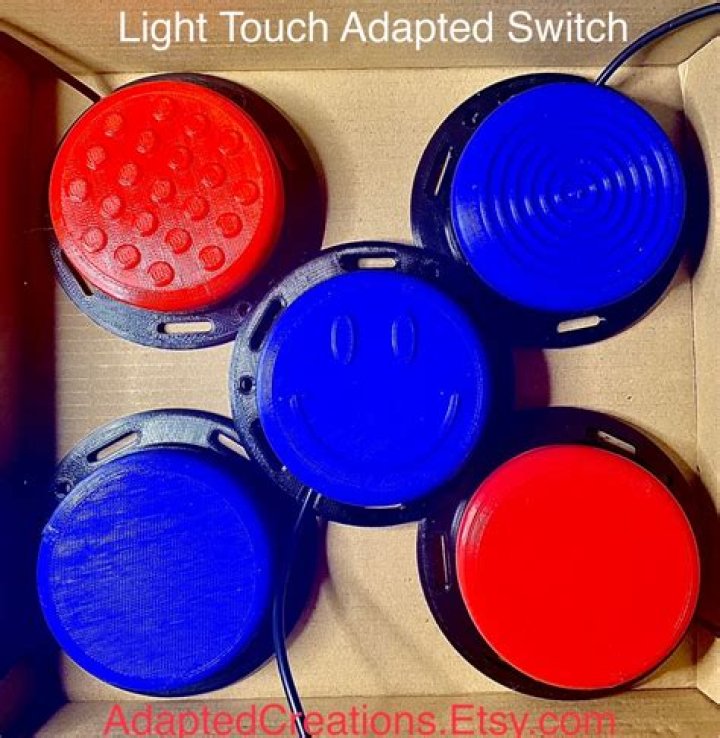 What is an adapted switch