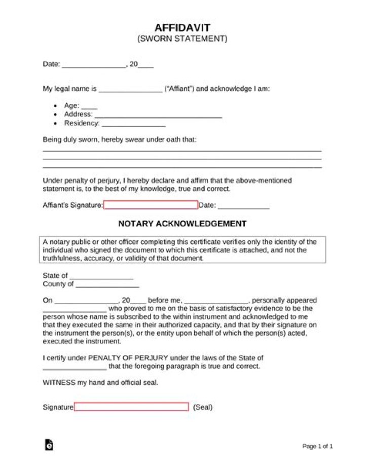 What is an affidavit statement