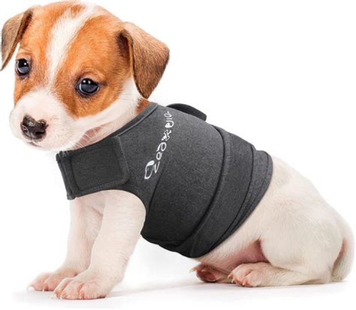 What is an anxiety vest for dogs