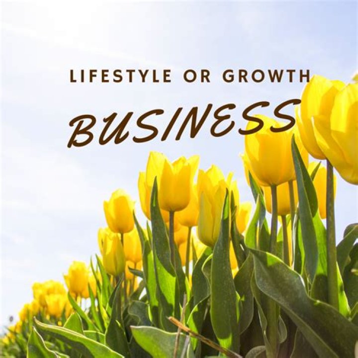 What is an example of a lifestyle business