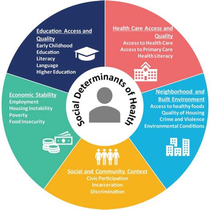 What is an example of a proximal determinant of health
