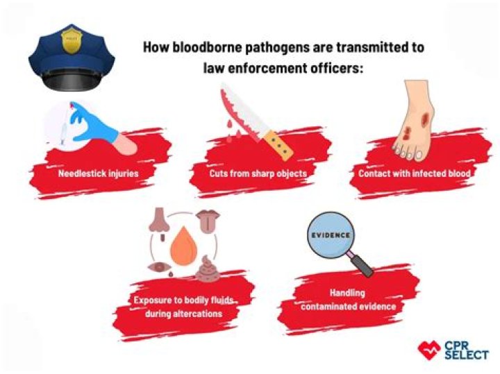 What is an example of bloodborne pathogens