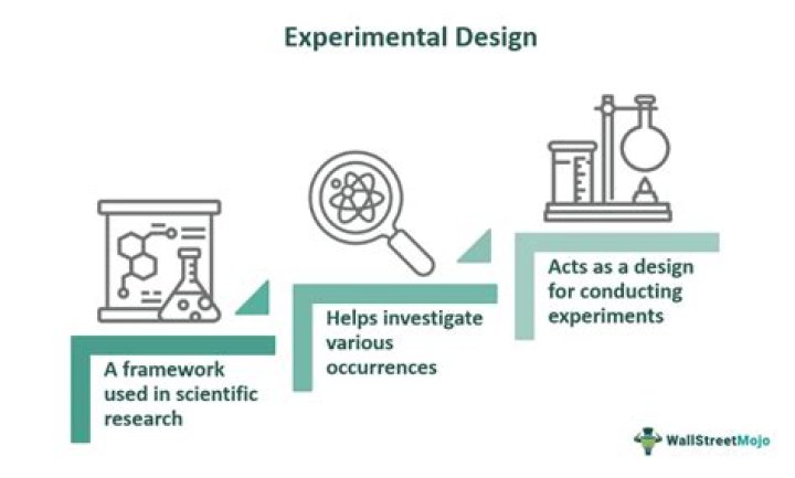 What is an experimental treatment in biology