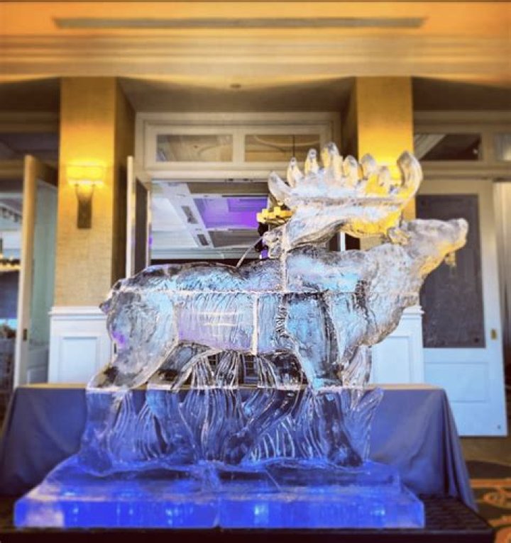What is an ice sculpture luge